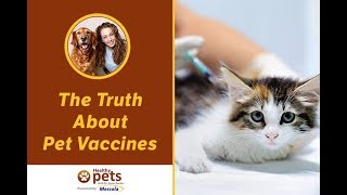 The Truth About Pet Vaccines