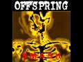 The Offspring - Smash - 14 Hidden Track 