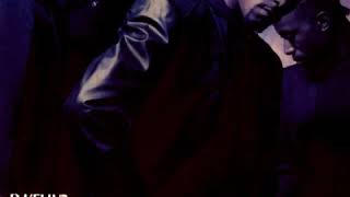 R. Kelly &amp; Public Announcement - She’s Loving Me (Extended G-Funk Mix)