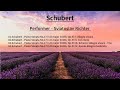 ⏺ Schubert - Piano Sonata  in D major No.17 D.850