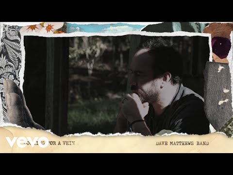 Dave Matthews Band - Looking for a Vein (Visualizer)