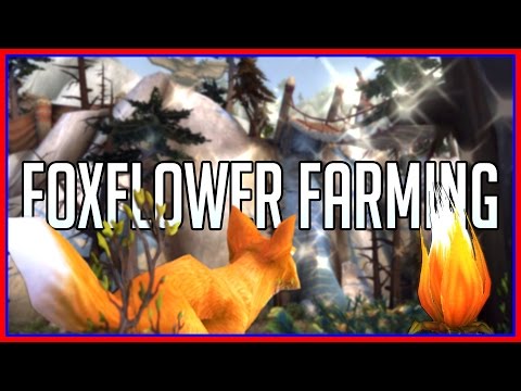 Best Foxflower Farming Tricks and Routes (WoW Gold Guide)