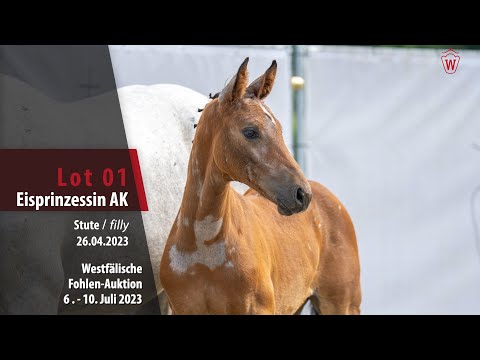 Fohlen-Auktion Lot 01 Eisprinzessin AK Stute v. Emerald van het Ruytershof -   Cornet Obolensky