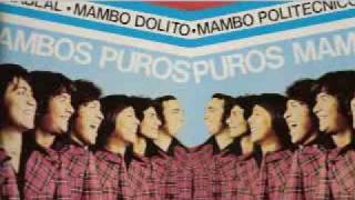 Mambo Politécnico Lyrics English Translation
