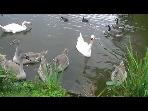 Erste Versuche - Tag 105 - 17.09.2021