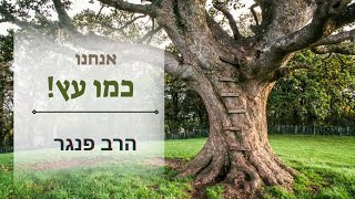 הרב פנגר - אנחנו כמו עץ (הרב יצחק פנגר) - התמונה מוצגת ישירות מתוך אתר האינטרנט יוטיוב. זכויות היוצרים בתמונה שייכות ליוצרה. קישור קרדיט למקור התוכן נמצא בתוך דף הסרטון הרב פנגר - אנחנו כמו עץ (הרב יצחק פנגר) - התמונה מוצגת ישירות מתוך אתר האינטרנט יוטיוב. זכויות היוצרים בתמונה שייכות ליוצרה. קישור קרדיט למקור התוכן נמצא בתוך דף הסרטון