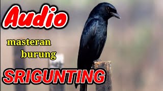 Download lagu SUARA BURUNG SRIGUNTING || Cocok Buat Masteran dan  Pancingan mp3