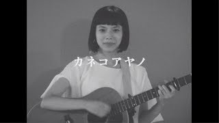 Download lagu カネコアヤノ ロマンス宣言 Kaneko Ayano... mp3