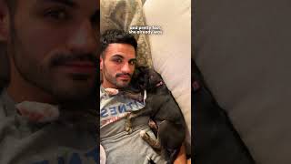 10-Pound Dumped Puppy Gets Fostered By German Shepherds | The Dodo