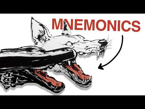 expand your visual library with this memorization technique