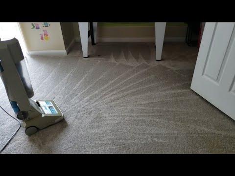 No Talking! ASMR Sounds of Extreme Vacuuming | Dirty Carpet cleaning vlog Episode 339