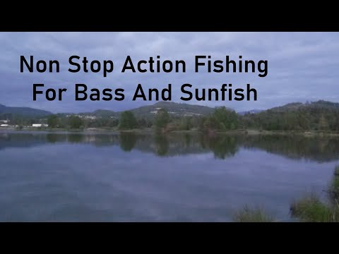 Non Stop Action Fishing For Bass And Sunfish