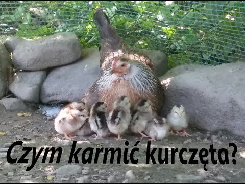 Produkty dla gęstości włosów Maski do włosów w warunkach domowych na rzecz wzrostu