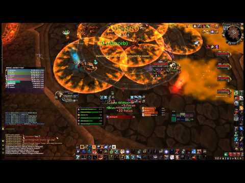 Lights Out vs Paragons of the Klaxxi 10M HC