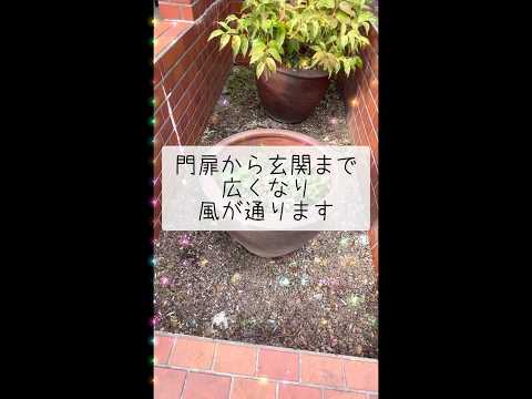 丈夫な多年草 長く開花する 陽気な