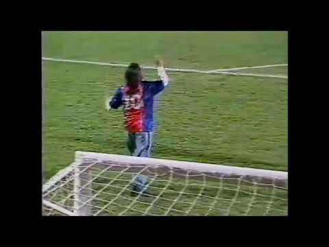 Paraná 2 x 3 Botafogo - Campeonato Brasileiro 1999