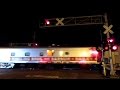 Ringling Circus Trains Last Entrance Into Tampa Bay Florida