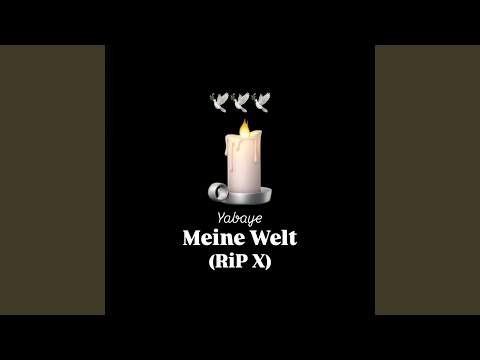 Meine Welt (RiP X)