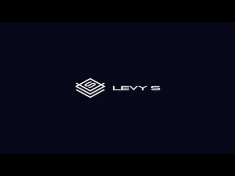 Levy S - Insomnia