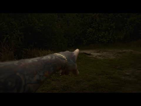 Hiked to Devil's Tree and used a Ouija Board (Creepy Video)