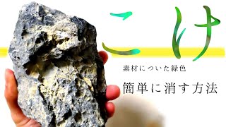 石のコケ汚れは〇〇〇で落とす【アクアリウムダイアリー#7】