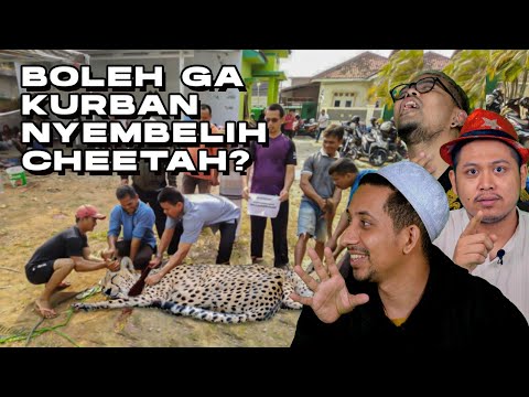 Nyembelih Cheetah Biar Nanti Di Akhirat Naik Cheetah