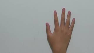 美しい手（Beautiful hands）