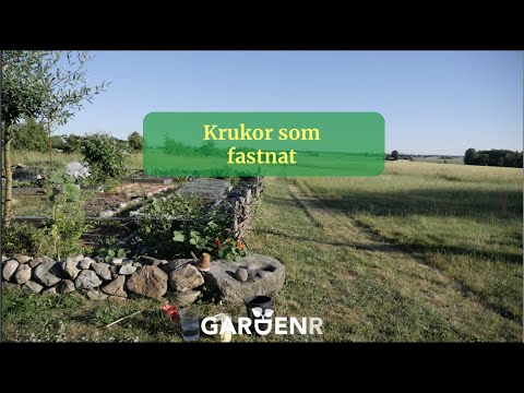 Stuck pots - Gardenhacks by GardenR