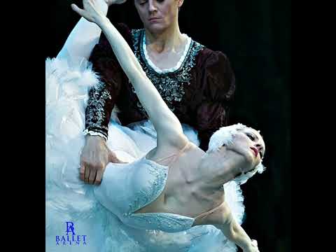 Swan of the day “Olga Esina”