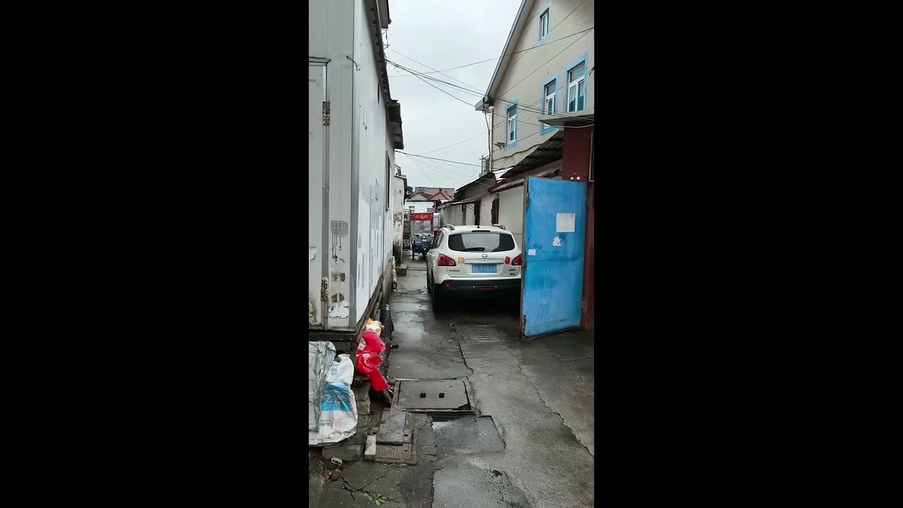 Cat Fails Roof Jumps Before Finding Open Warehouse Door || ViralHog
