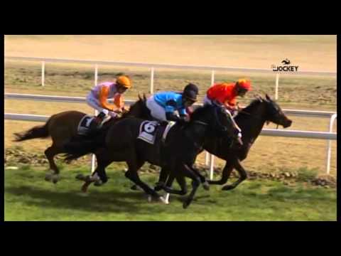 4 Carrera, premio Lototurf, 21 de febrero 2016 - Gran Hipódromo de Andalucía (Dos Hermanas)