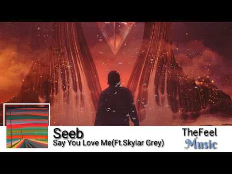 Seeb - Say You Love Me(Ft.Skylar gray)