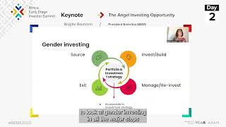 The angel investing opportunity