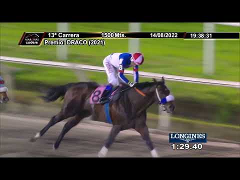 220814 c13 UN RUN RUN (ARG)