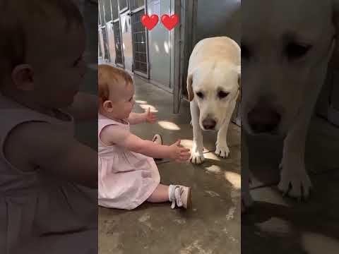 Muy tierno,esta imagen tocará tu corazón