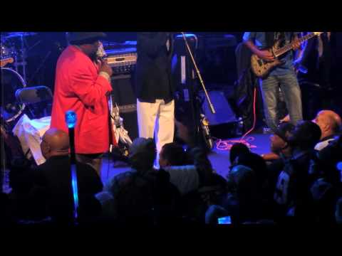 George Clinton and the P-Funk Allstars