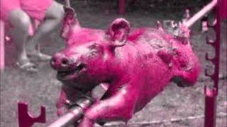 Die Apokalyptischen Reiter -Rock n'Roll