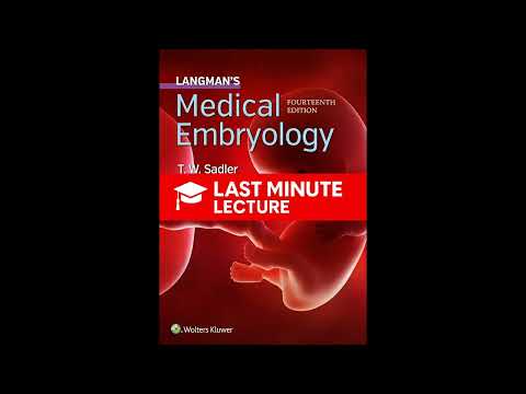 Second Week of Development: Bilaminar Germ Disc | Chapter 4 – Langman’s Medical Embryology (14th)