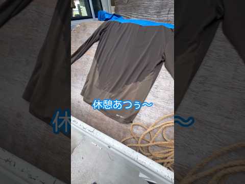 ウツギを生垣、花壇、鉢に剪定するにはどうすればよいですか？どの程度まで削減する必要がありますか?またその理由は何ですか?  庭園