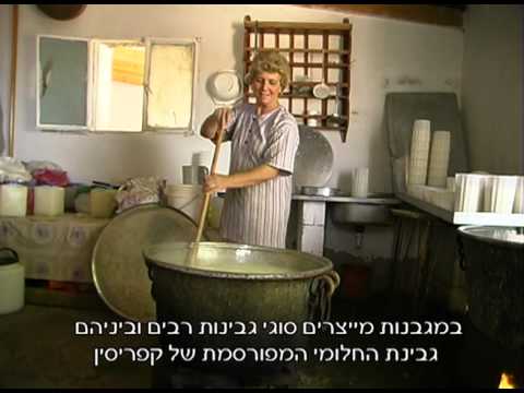 download lagu mp3 mp4 Cyprus Goat Cheese, download lagu Cyprus Goat Cheese gratis, unduh video klip Cyprus Goat Cheese