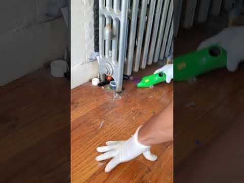 Dirt Docs Cleaning Service video.