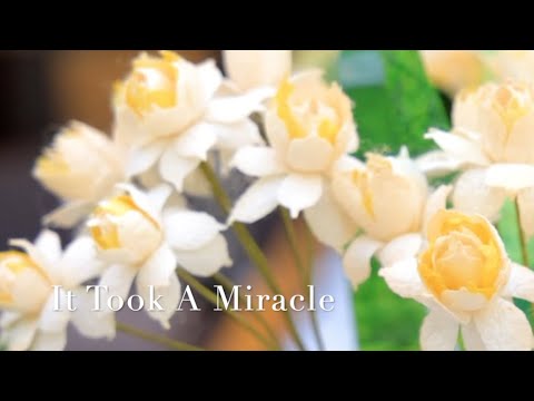111 SDA Hymn - It Took A Miracle (Singing w/ Lyrics)