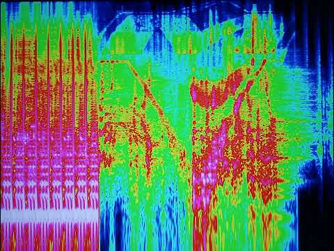 bassis - i do what i say