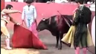 preview picture of video 'GRAPHIC -- Bullfighting Cruelty and Cowardice Exposed'