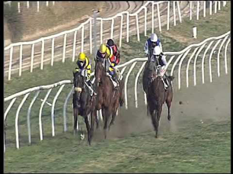 Galoppo 30/12/2015 - 1° corsa