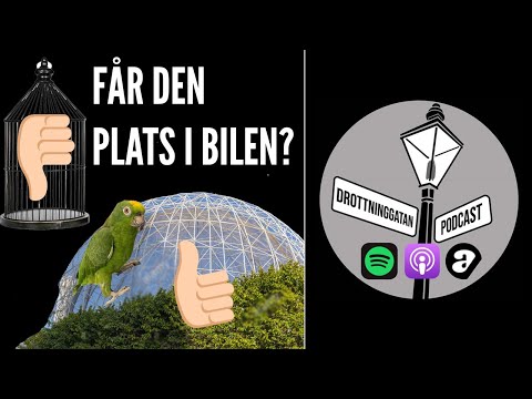 MORGONYOGA I FÅGELBUREN | Drottninggatan Podcast