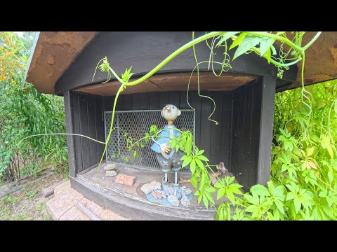 Grüne Oase in Berlin Rahnsdorf