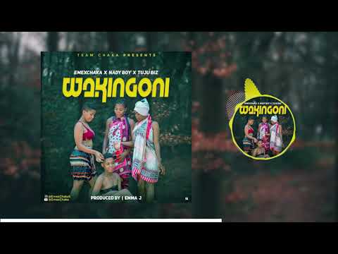 EMEXCHAKA X NADY BOY X TUJU BIZ_WAKINGONI (OFFICIAL AUDIO)