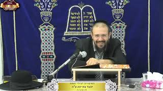 שלחן ערוך סימן תקפ"א ותקפ"ג ¤ הרב אפרים ניסן ¤ ד' אלול תשפ"ה (28.8.2024) (מוסדות תורת דוד) - התמונה מוצגת ישירות מתוך אתר האינטרנט יוטיוב. זכויות היוצרים בתמונה שייכות ליוצרה. קישור קרדיט למקור התוכן נמצא בתוך דף הסרטון שלחן ערוך סימן תקפ"א ותקפ"ג ¤ הרב אפרים ניסן ¤ ד' אלול תשפ"ה (28.8.2024) (מוסדות תורת דוד) - התמונה מוצגת ישירות מתוך אתר האינטרנט יוטיוב. זכויות היוצרים בתמונה שייכות ליוצרה. קישור קרדיט למקור התוכן נמצא בתוך דף הסרטון