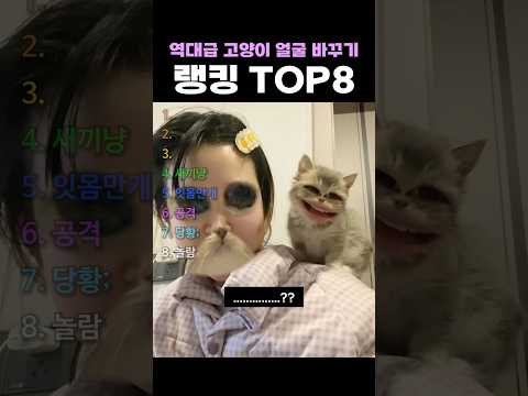 역대급 고양이 얼굴 바꾸기 랭킹 TOP8
